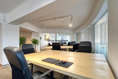 Sediu de birou chiar in Piata Victoriei langa Guvern - 7