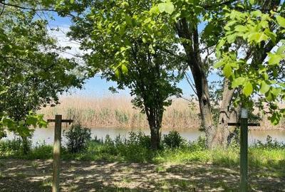 Teren de 850 mp, în Gruiu - 5