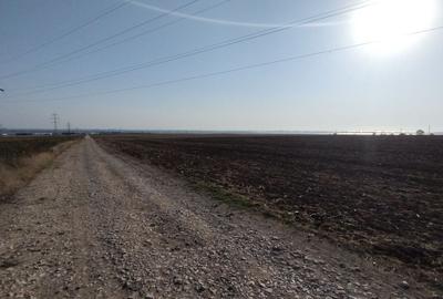 Teren pentru Parc Logistic, hale - Ovidiu - 8