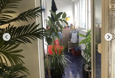 Apartament cu 2 camere semidecomandat în Militari - 6