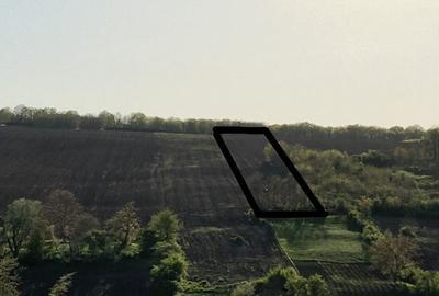 Proprietar Aroneanu Rediu Aldei teren 10500mp - 1