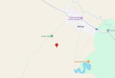 Teren de 6700 mp, în Bârlogu - 1