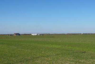 Teren Intravilan Branesti 4500mp Acces Asfalt si A2- deschidere 22ml - 8