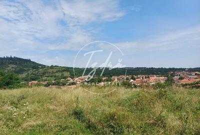 Teren intravilan de vanzare in Saliste - 3