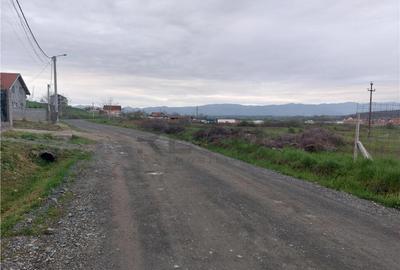 RECO Teren 4935mp in Beius - 2