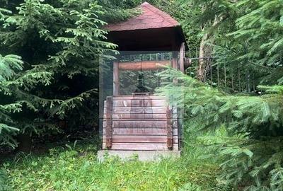 Casa/Vila de vanzare in Predeal - 20