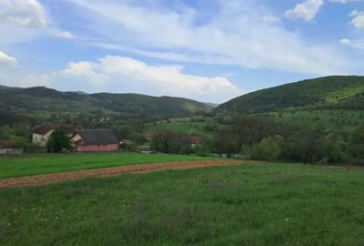 Teren de 3380 mp, în Șoimuș - 6