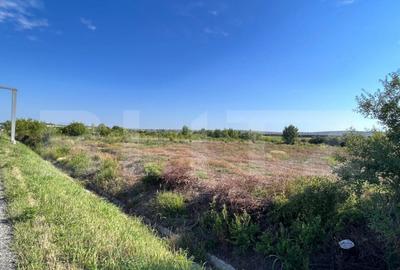 Teren intravilan, 2559 mp, zona Sitoaia - 3