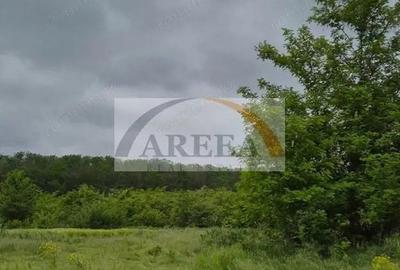 De vanzare - TEREN construc?ii 700 mp - liziera - Sili?tea Snagovului - 2