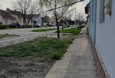 Casă cu 3 camere cu Teren 1650 Mp în Cenei - 10