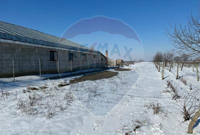 Teren intravilan Rastoaca - Varsatura - 5