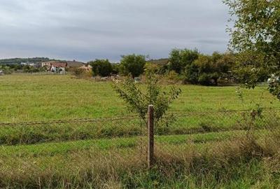 Teren intravilan 8000 mp , DR.D.Vechi - 7