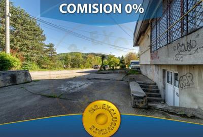 Inchiriere spatiu de depozitare 247 mp, curte 158 mp, Campul - 1