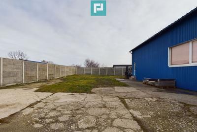 Depozit frigo in Sacalaz - 4