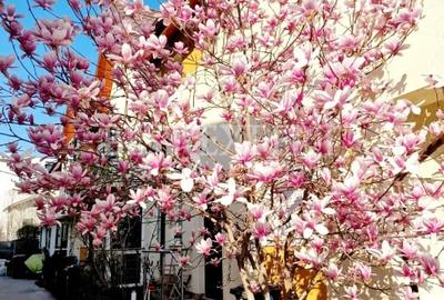 Casă cu 3 camere cu Canalizare în Theodor Pallady - 2