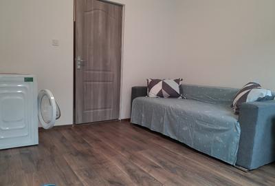 Garsoniera, Dovalii Garsoniera, Dovalii - 3