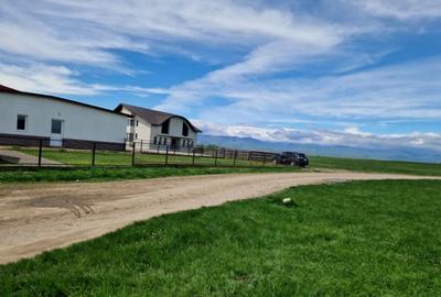 Teren extravilan 25.254 mp in zona Preajba - 4