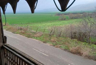 Casă cu Teren 2522 Mp în Cerna - 2