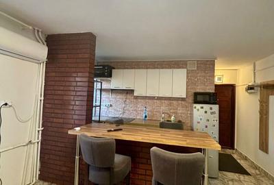 Apartament cu 2 camere semidecomandat, mobilat în Piața Unirii - 3