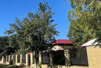 Casă cu 3 camere în Dunărea - 10