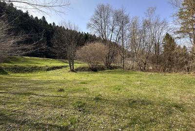 Teren de 6888 mp, în Putna - 4