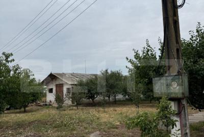 Ferma de Vanzare in judetul Timis, la nord est de Timisoara, - 14