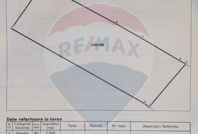 Teren extravilan, 2000 mp, Sat Pe?tera (com Moieciu) - 8