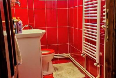 Apartament cu 3 camere decomandat în Sud - 6