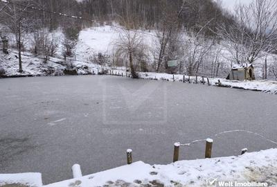 Casa de vacanta, cu lac, 5640 mp teren, Huta, com. Chiuiesti, jud. Cluj Casa de vacanta, cu lac, 5640 mp teren, Huta, com. Chiuiesti, jud. Cluj - 41