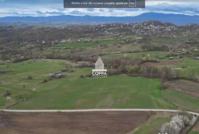 Teren de 5257 mp, în Curtuiușu Mic - 7