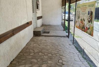 Casă cu 2 camere cu Teren 330 Mp în Provița de Sus - 7