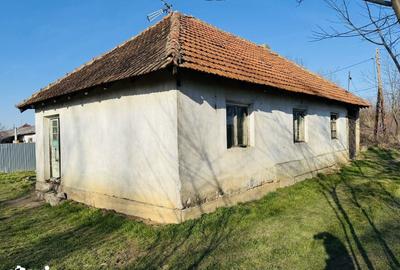 Casă cu 3 camere cu Teren 1000 Mp în Cetariu - 1