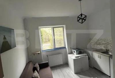 Garsonieră decomandată în Gruia - 2