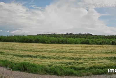 Loc de casa - Snagov - teren intravilan - 1