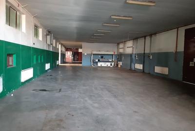 Spațiu comercial, de 4,000 mp, în Alparea - 6