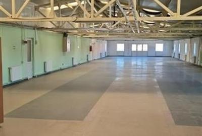 Hala multifunctionala de vanzare, Prejmer, Brasov - 4