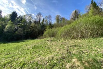 Teren panoramic insorit, utilitati, panta mica si padure, turism sau vacanta - 8