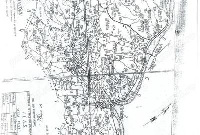 Spațiu comercial, în Căciulata - 1