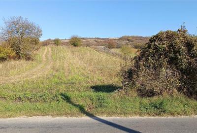 Teren de 3000 mp, în Berzasca - 8