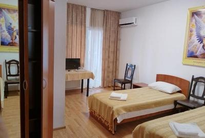 Proprietate impresionantă Snagov | rezidență, pensiune sau sediu firma - 23