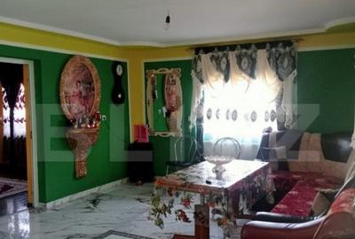 Casa spatioasa in Sanmihaiu de Campie - 2