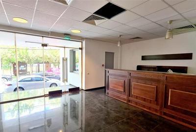 Birou, de 1,360 mp, în Iosefin - 5