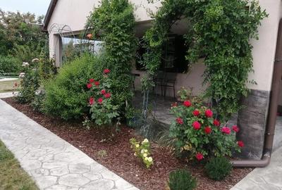 Casă cu Teren 1457 Mp în Rudna - 1
