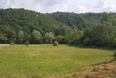 Teren de 7800 mp, în Vața de Jos