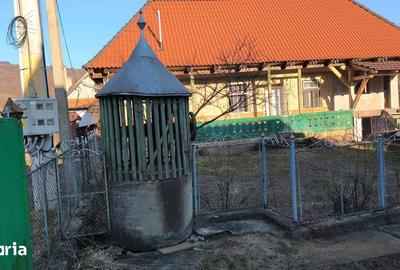 Casă cu 4 camere cu Teren 1300 Mp în Măgherani - 6