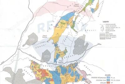 Padure de vanzare oportunitate de investi?ie - 4