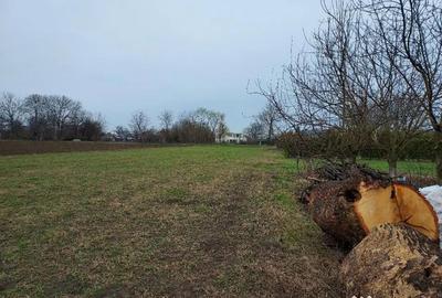 Teren în Bătești - 3