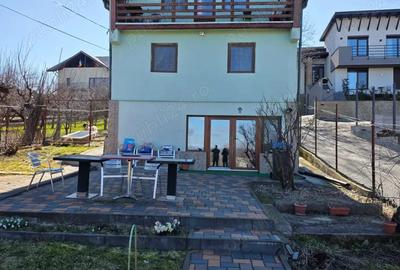 Casă cu Teren 1650 Mp în Făget - 5