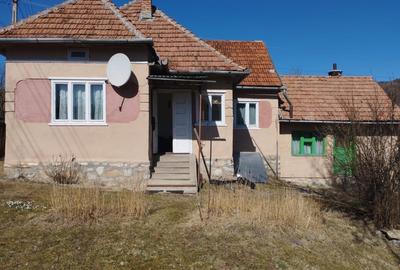 Casă individuală cu 3 camere cu Teren 2415 Mp în Voșlăbeni - 1