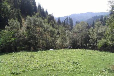 Teren de 5062 mp, în Voineasa - 7